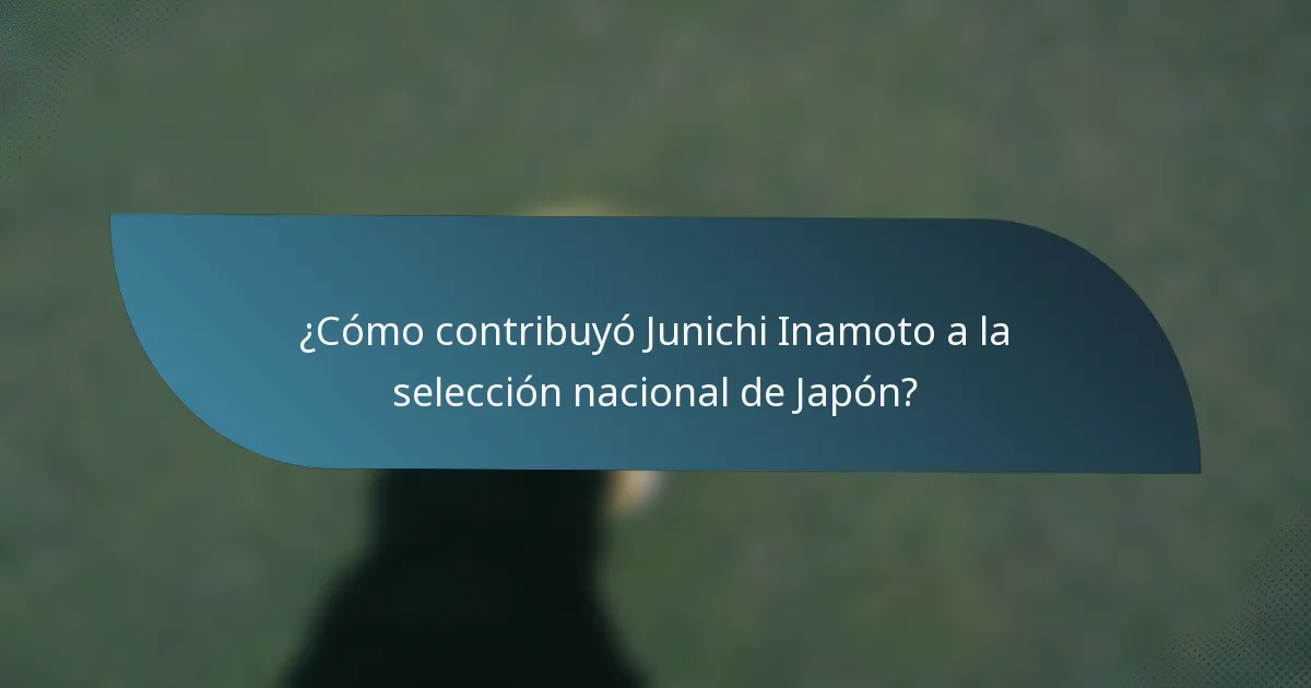 ¿Cómo contribuyó Junichi Inamoto a la selección nacional de Japón?