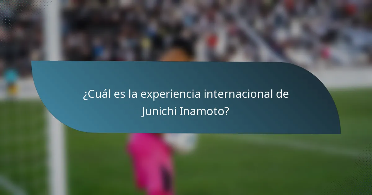 ¿Cuál es la experiencia internacional de Junichi Inamoto?